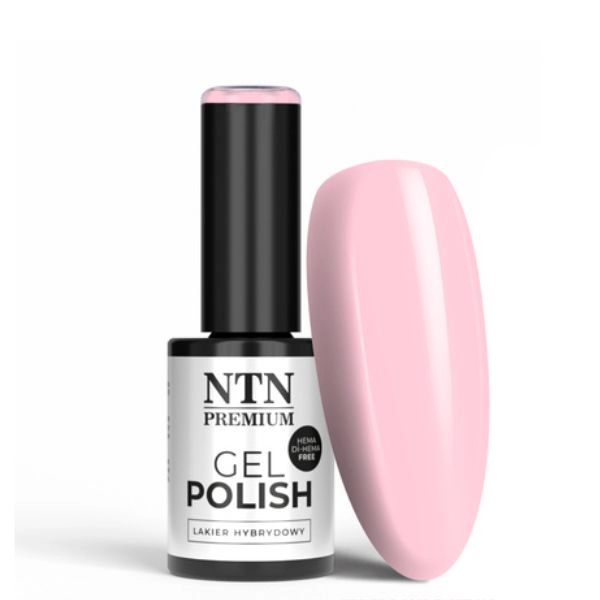 NTN Premium - Hibridni gel lak Delight Sorbet Collection nr. 148, 5g